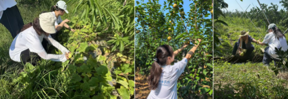 截屏2025-07-10 08 截屏2025-07-10 08