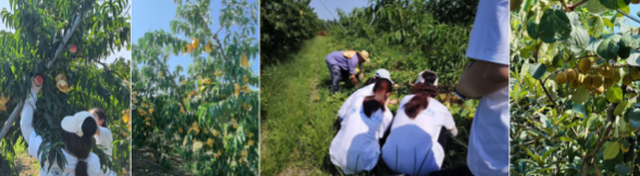 截屏2025-07-10 08 截屏2025-07-10 08