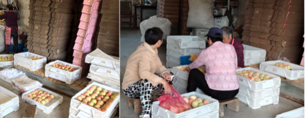 截屏2025-07-10 08 截屏2025-07-10 08