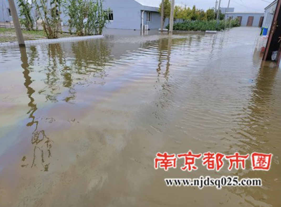 截屏2025-07-14 09 截屏2025-07-14 09