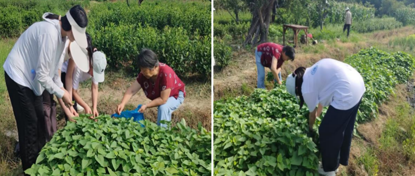 截屏2025-07-29 09 截屏2025-07-29 09