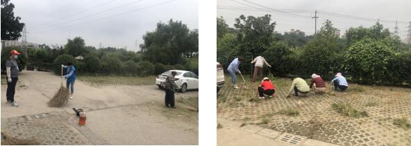 紅梅社區(qū):開(kāi)展環(huán)境衛(wèi)生整治 助力文明城市創(chuàng)建