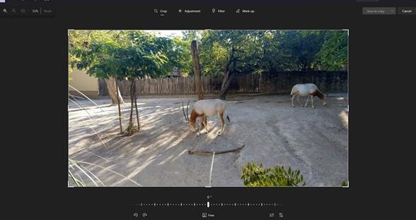 功能更強(qiáng)大！Win11照片應(yīng)用迎來更新：圖片編輯獲得重新設(shè)計