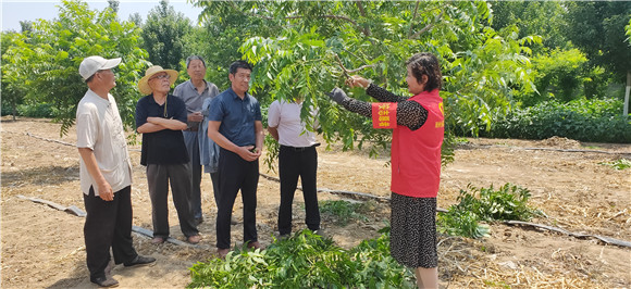 邳州農(nóng)業(yè)技術專家深入鄉(xiāng)村傳授實用技術助力鄉(xiāng)村振興