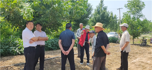 邳州農(nóng)業(yè)技術專家深入鄉(xiāng)村傳授實用技術助力鄉(xiāng)村振興