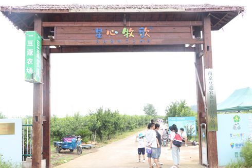 新農(nóng)社區(qū)舉辦慶六一迎端午“童言童語 快樂綻放”主題融合活動(dòng)