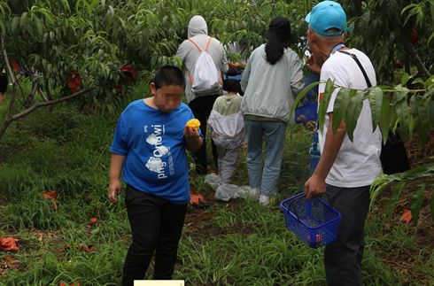 新農(nóng)社區(qū)舉辦慶六一迎端午“童言童語 快樂綻放”主題融合活動(dòng)